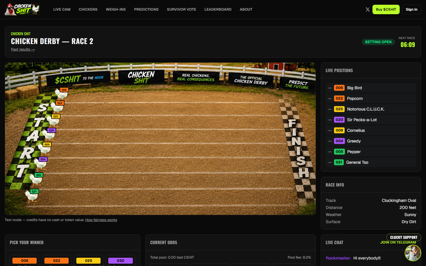 Chicken Race screenshot